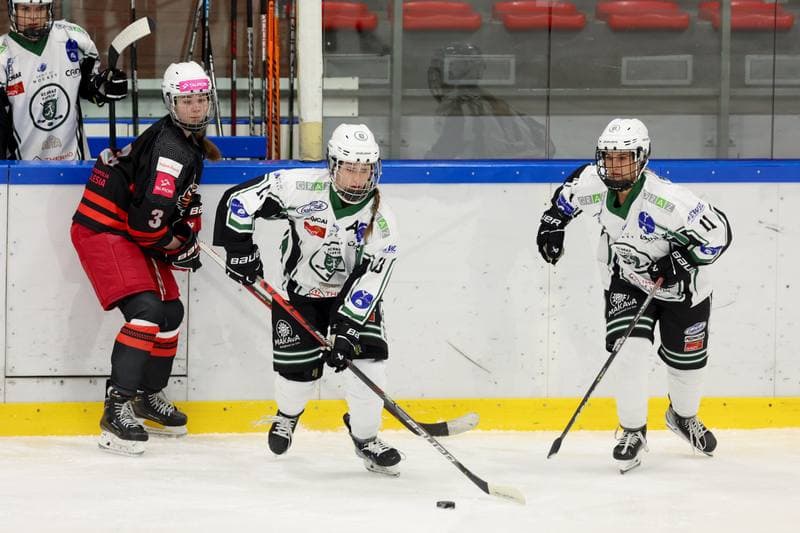 Ice Hockey. EWHL. Tauron Metropolia Silesia - EC Graz Huskies. 02.03.2024