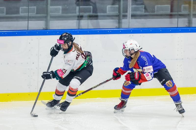 Ice Hockey. Tauron Liga Hokeja Kobiet. Kojotki Naprzod Janow - SMS Polonia Bytom. 09.09.2023