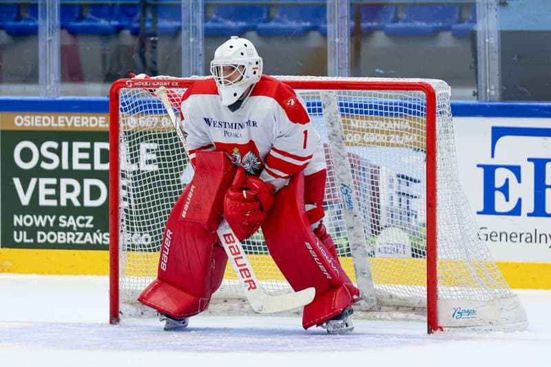 Ice Hockey. Friendly Match. Poland - Hungary. 13.04.2024