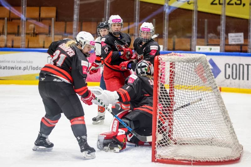 Ice Hockey. EWHL. Tauron Metropolia Silesia - Aisulu Almaty. 26.11.2023