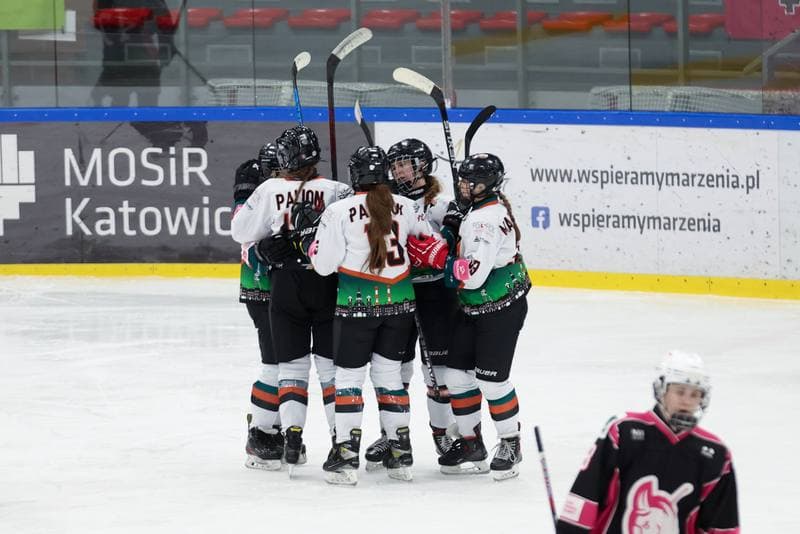 Ice Hockey. Tauron Liga Hokeja Kobiet. Kojotki Naprzod Janow - Kozice Poznan. 20.01.2024