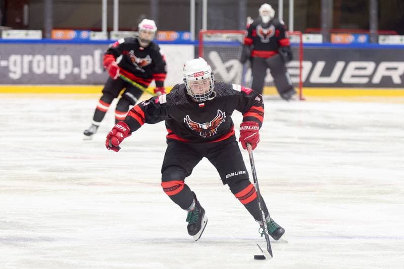 Ice Hockey. EWHL. Tauron Metropolia Silesia - KEHV Lakers. 03.02.2024