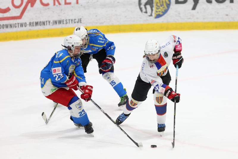 Ice Hockey. Tauron Liga Kobiet. Polonia Bytom - UKKH Unia Oswiecim. 24.02.2024
