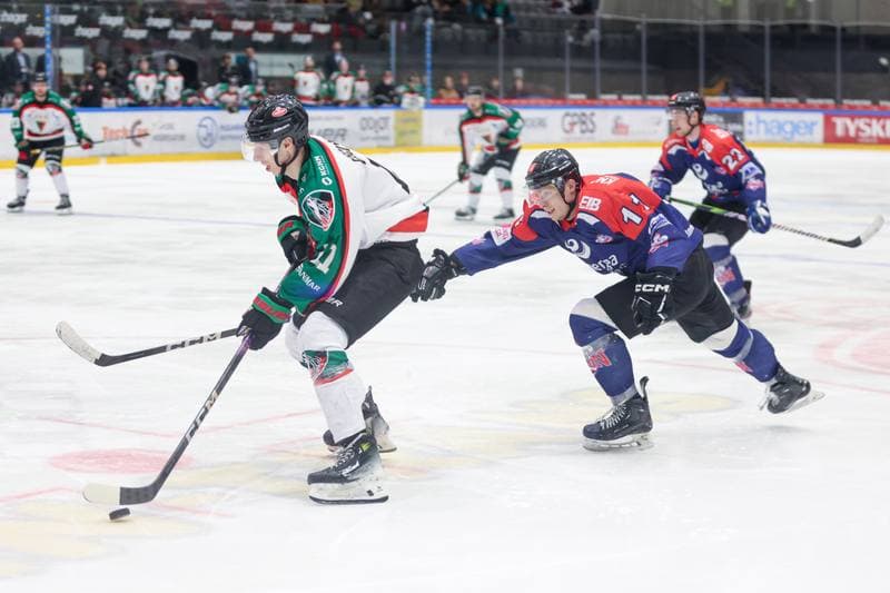 Ice Hockey. Tauron Hokej Liga. GKS Tychy - KH Energa Torun. 25.02.2024