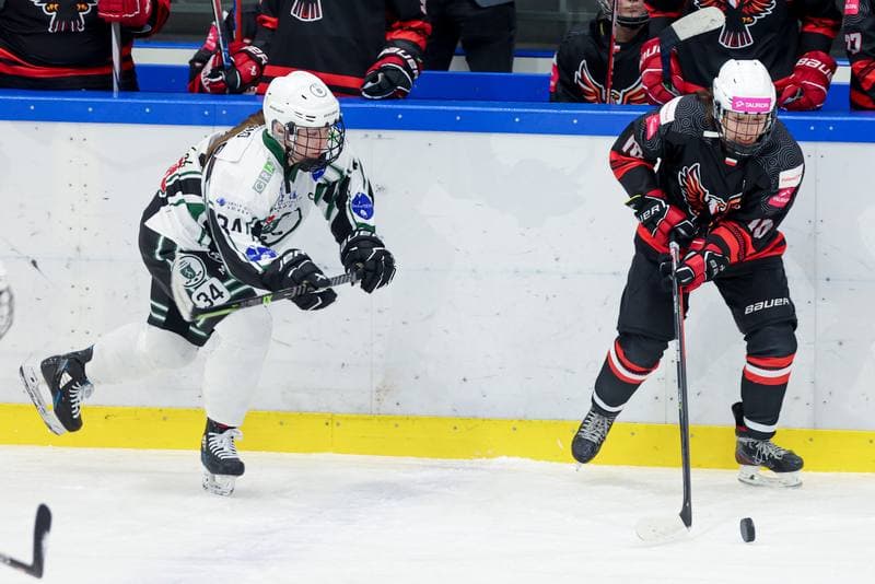 Ice Hockey. EWHL. Tauron Metropolia Silesia - EC Graz Huskies. 02.03.2024