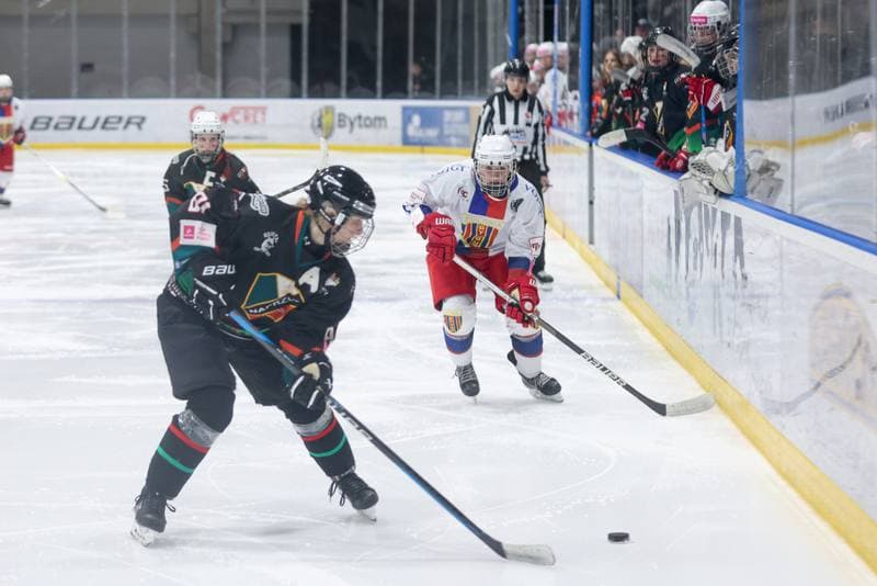Ice Hockey. Tauron Liga Kobiet. BS Polonia Bytom - Kojotki Naprzod Janow. 16.03.2024