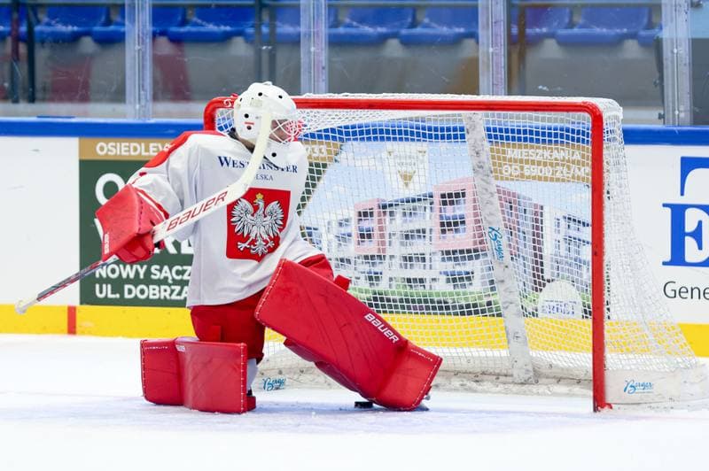Ice Hockey. Friendly Match. Poland - Hungary. 13.04.2024