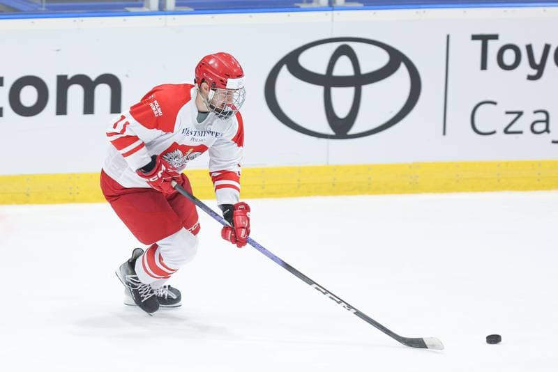 Ice Hockey. Friendly Match. Poland - Slovenia. 18.04.2024