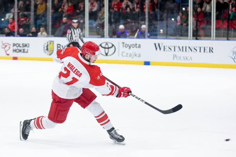 Ice Hockey. Friendly Match. Poland - Slovenia. 19.04.2024