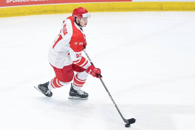 Ice Hockey. Friendly Match. Poland - Denmark. 07.05.2024