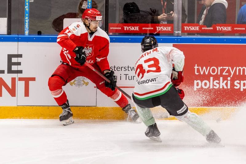 Ice Hockey. Friendly Match. Poland - Hungary. 20.04.2023