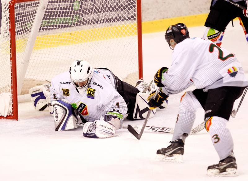 Ice Hockey. Polska Hokej Liga. Naprzod Janow - Polonia Bytom. 09.10.2014