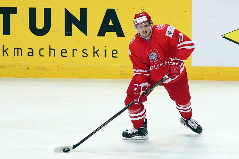 Ice Hockey. World Championship Division 1A. Poland - Japan. 29.04.2016