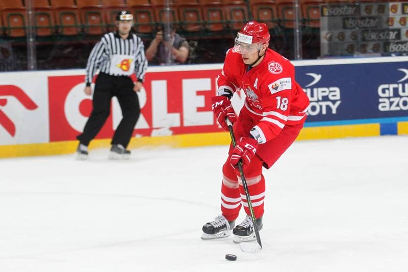 Ice Hockey. World Championship Division 1A. Poland - Japan. 29.04.2016
