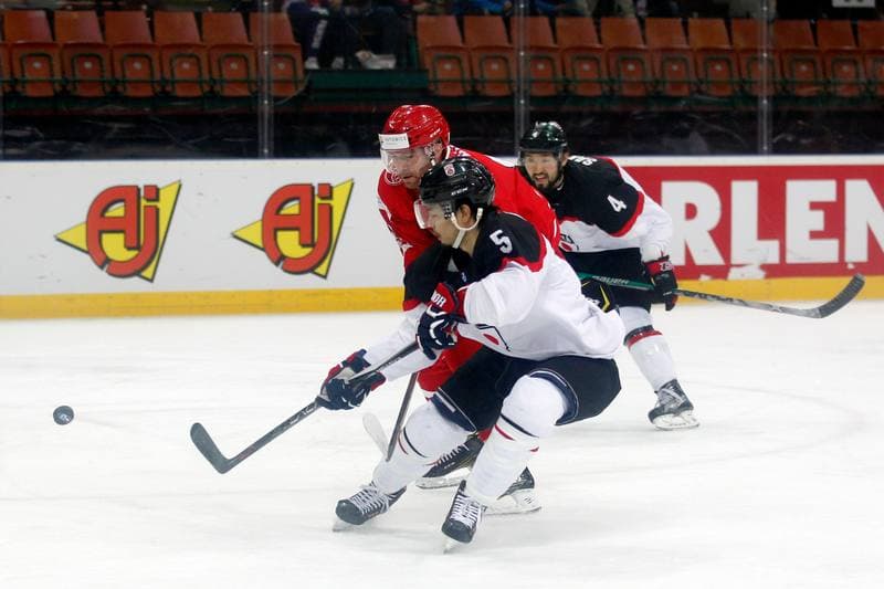Ice Hockey. World Championship Division 1A. Poland - Japan. 29.04.2016