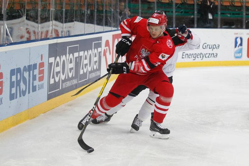 Ice Hockey. World Championship Division 1A. Poland - Japan. 29.04.2016