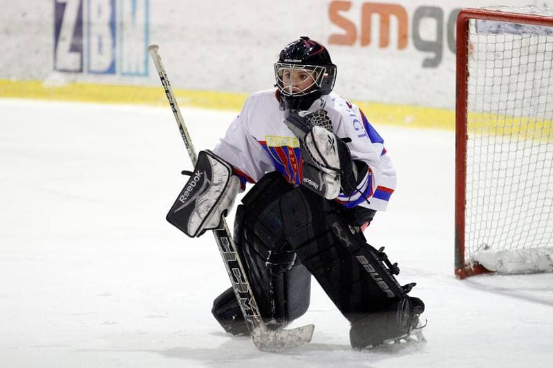 Ice Hockey. PLHK. Polonia Bytom - Atomowki Tychy. 27.01.2017