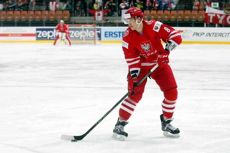 Ice Hockey. World Championship Division 1A. Poland - Japan. 29.04.2016
