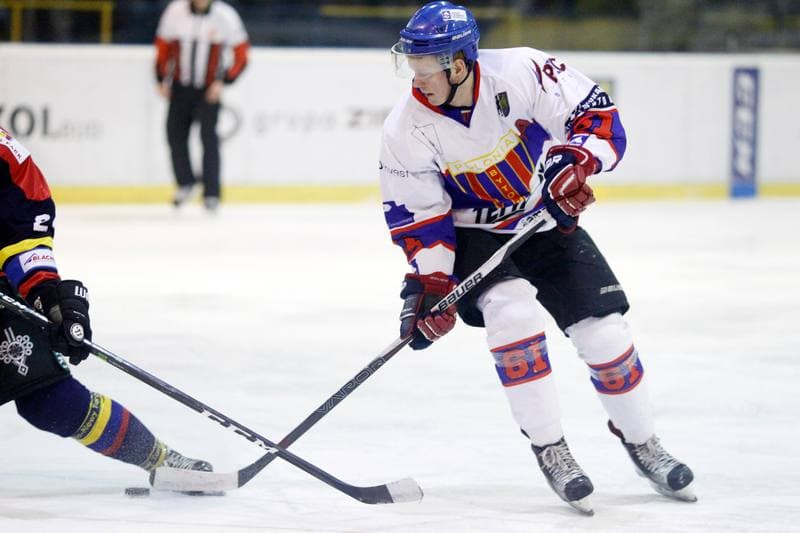 Ice Hockey. Polska Hokej Liga. Tempish Polonia Bytom - Podhale Nowy Targ. 29.01.2017