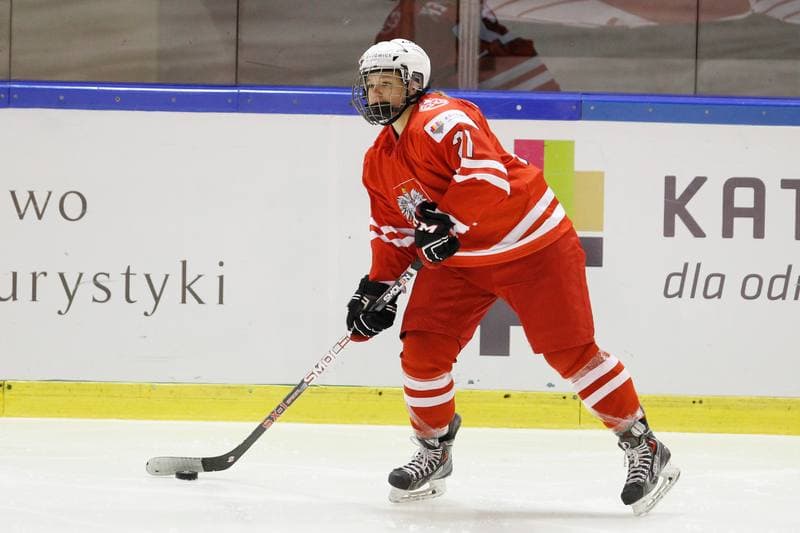 Ice Hockey. Women's World Championship. Latvia - Poland. 12.04.2017