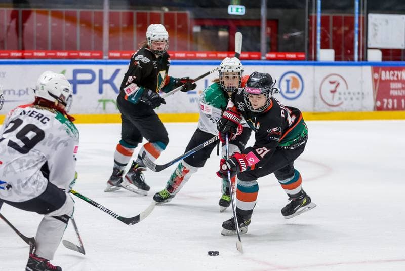 Ice Hockey. Tauron Liga. Atomowki GKS Tychy - Kojotki Naprzod Janow. 29.10.2023