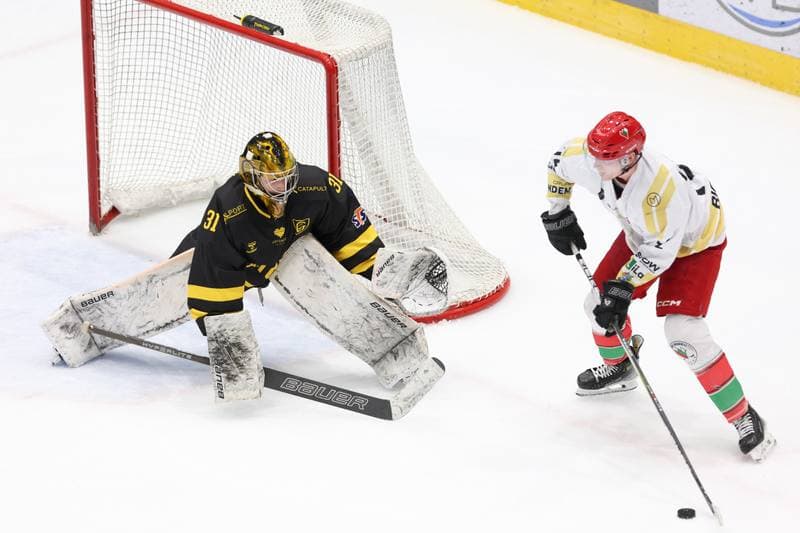 Ice Hockey. Tauron Hokej Liga. Zaglebie Sosnowiec - GKS Katowice. 21.01.2024