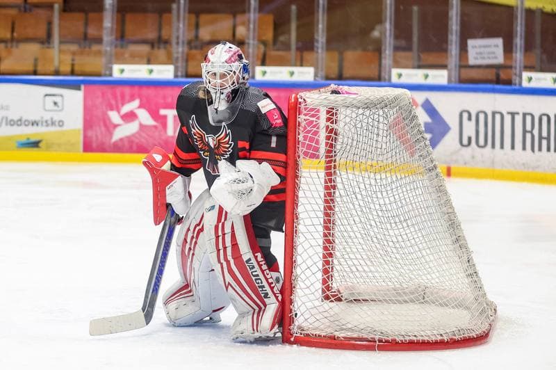 Ice Hockey. EWHL. Tauron Metropolia Silesia - Aisulu Almaty. 26.11.2023