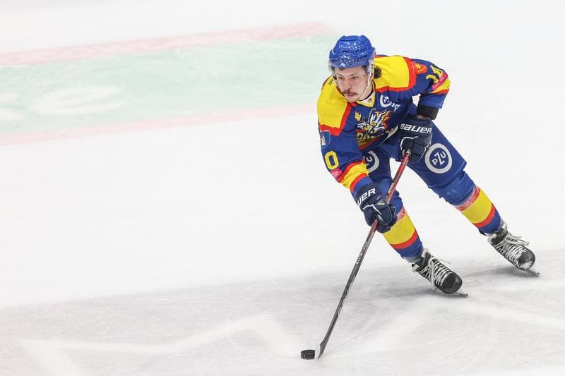 Ice Hockey. Tauron Hokej Liga. Zaglebie Sosnowiec - PZU Podhale Nowy Targ. 03.12.2023