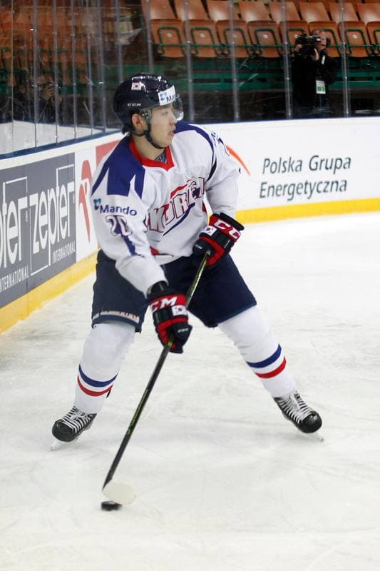 Ice Hockey. World Championship Division 1A. Slovenia - Korea. 27.04.2016