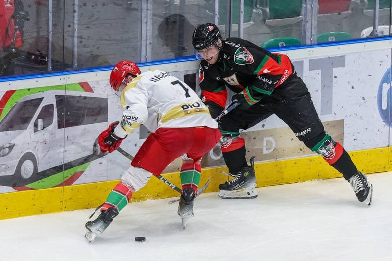 Ice Hockey. Tauron Hokej Liga. Zaglebie Sosnowiec - GKS Tychy. 20.12.2023