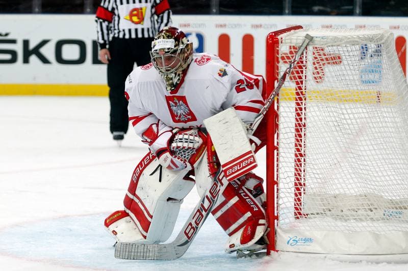 Ice Hockey. World Championship Division 1A. Poland - Slovenia. 26.04.2016