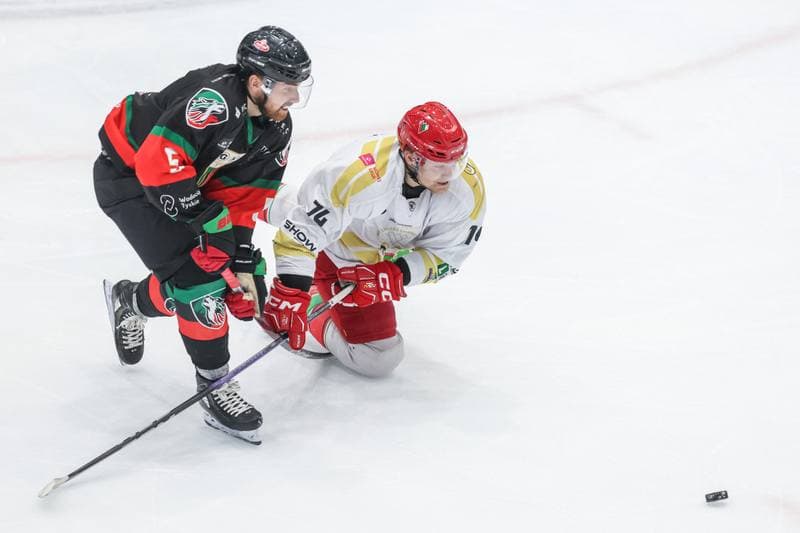 Ice Hockey. Tauron Hokej Liga. Zaglebie Sosnowiec - GKS Tychy. 20.12.2023