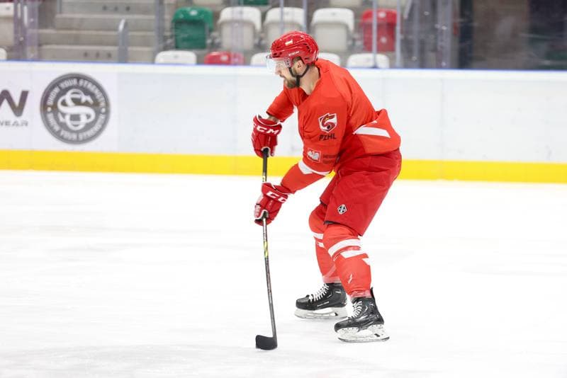Ice Hockey. Poland national team. Training. 03.02.2024