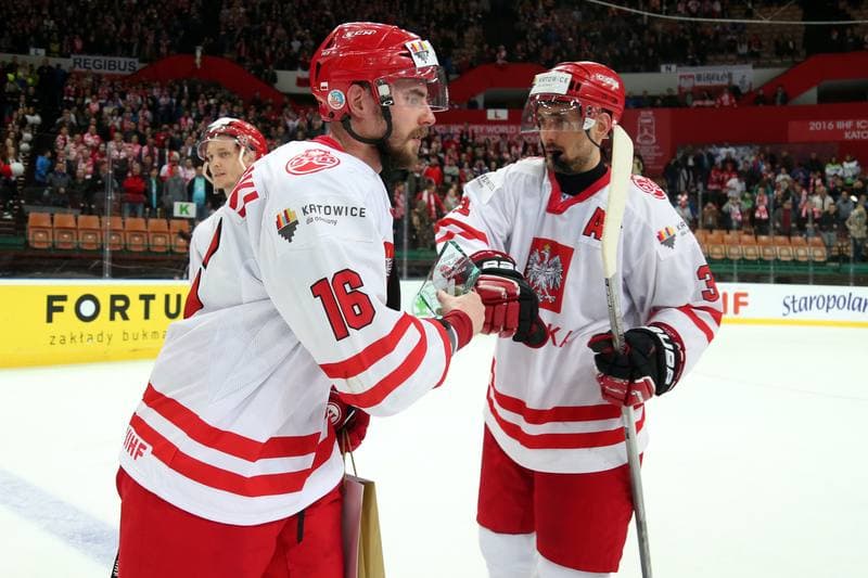 Ice Hockey. World Championship Division 1A. Poland - Slovenia. 26.04.2016