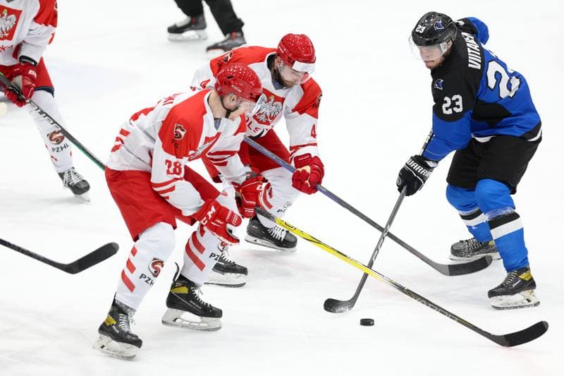 Ice Hockey. Olympic Qualification. Poland - Estonia. 08.02.2024