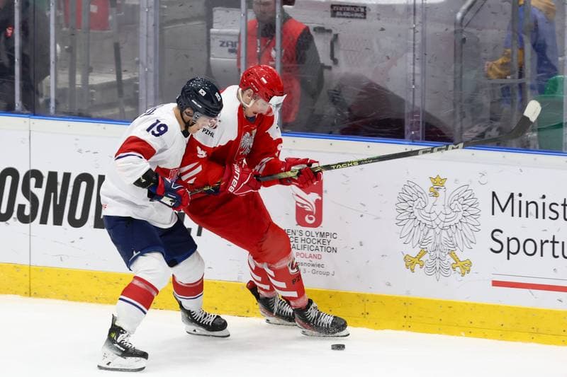 Ice Hockey. Olympic Qualification. Korea - Poland. 11.02.2024