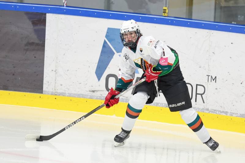 Ice Hockey. Tauron Liga. Kojotki Naprzod Janow - Stoczniowiec Gdansk. 24.02.2024