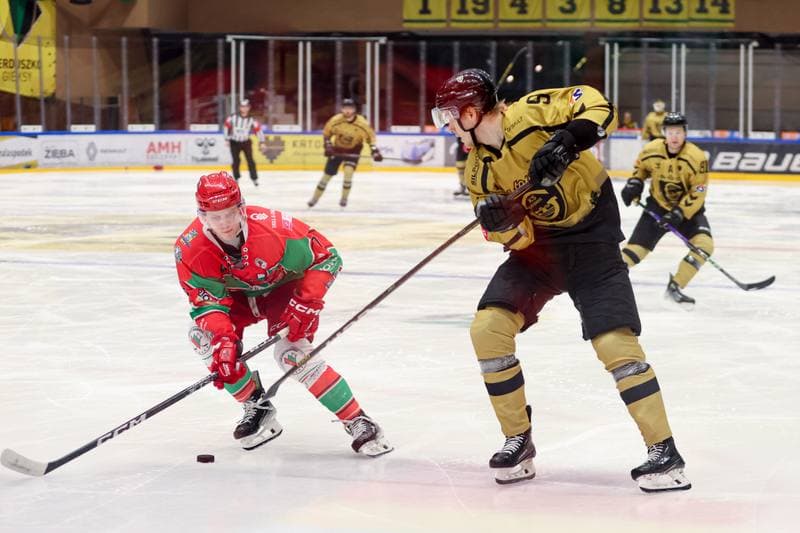 Ice Hockey. Tauron Hokej Liga. GKS Katowice - Zaglebie Sosnowiec. 02.03.2024