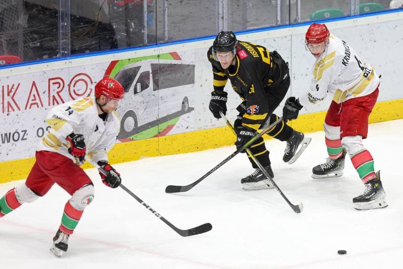 Ice Hockey. Tauron Hokej Liga. Zaglebie Sosnowiec - GKS Katowice. 06.03.2024
