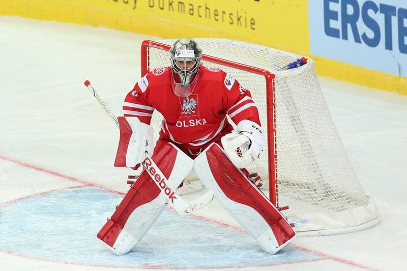 Ice Hockey. World Championship Division 1A. Poland - Korea. 24.04.2016