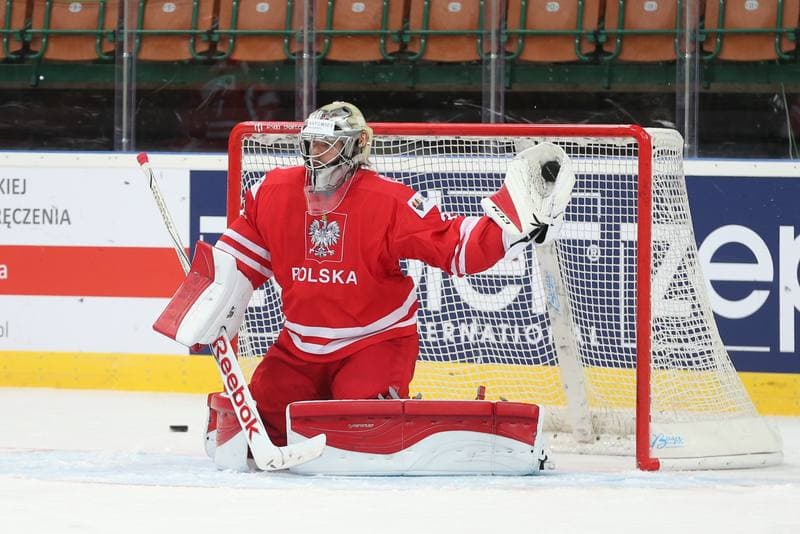 Ice Hockey. World Championship Division 1A. Poland - Korea. 24.04.2016