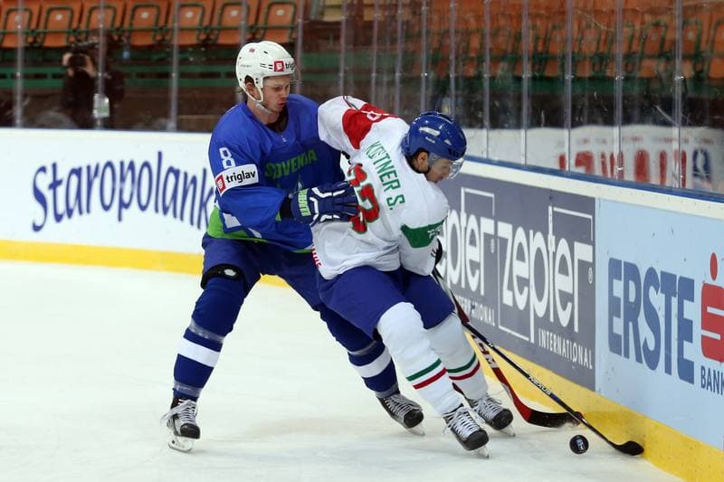 Ice Hockey. World Championship Division 1A. Slovenia - Italy. 24.04.2016