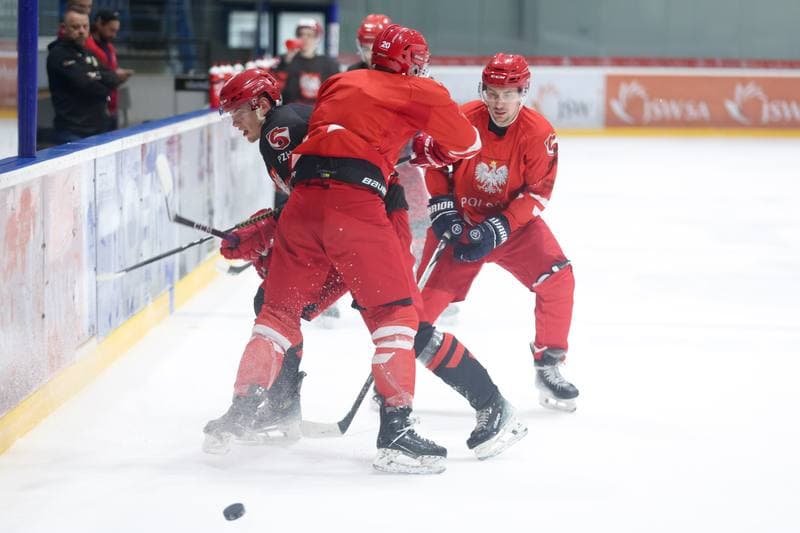Ice Hockey. Poland national team. Training. 02.04.2024