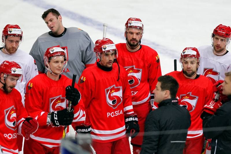 Ice Hockey. Poland national team. Training. 24.04.2016