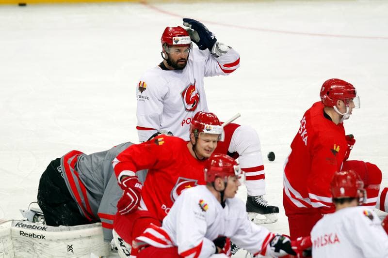 Ice Hockey. Poland national team. Training. 24.04.2016