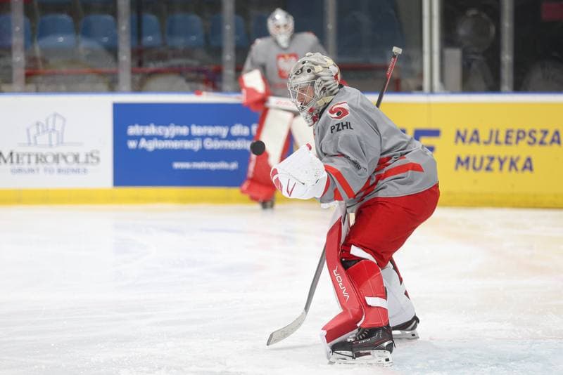 Ice Hockey. Poland national team. Training. 17.04.2024