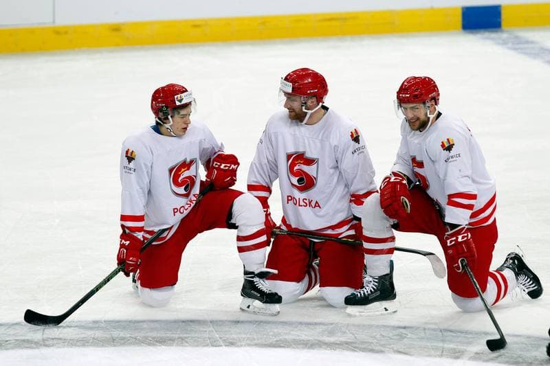 Ice Hockey. Poland national team. Training. 24.04.2016