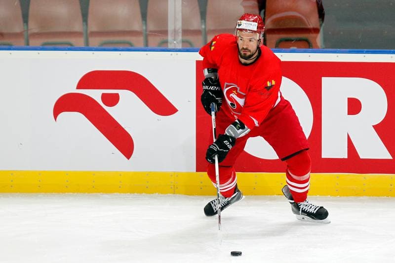 Ice Hockey. Poland national team. Training. 24.04.2016