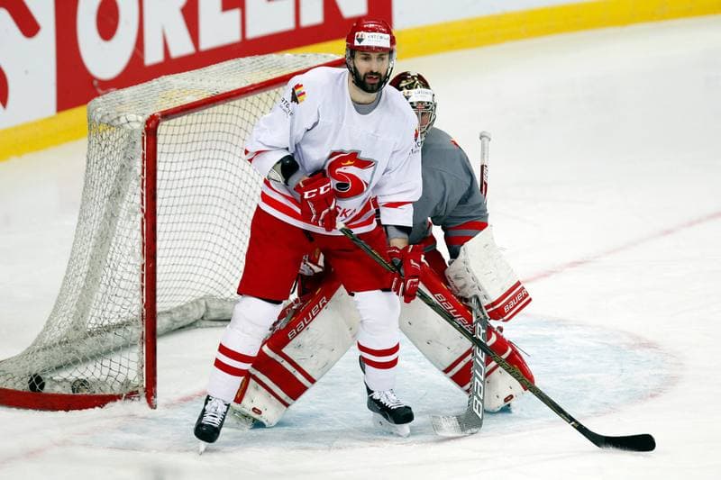 Ice Hockey. Poland national team. Training. 24.04.2016