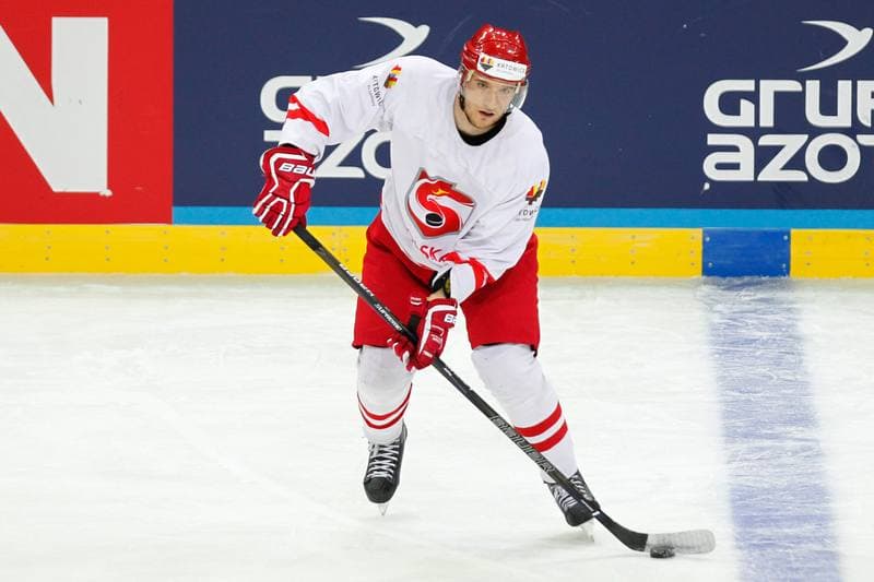 Ice Hockey. Poland national team. Training. 24.04.2016